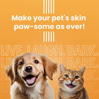 Bark Out Loud Glow and Shine Turmeric Chew Stix for Dogs and Cats — in use