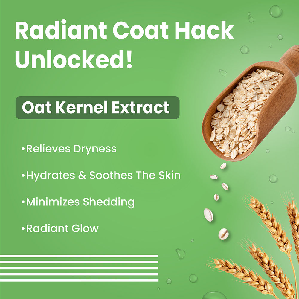 Bark Out Loud Healthy Shiny Coat Shampoo for Dogs — in use