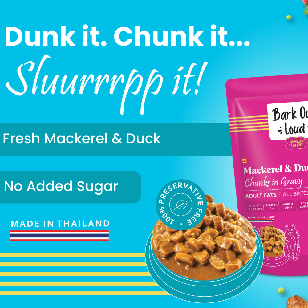 Bark Out Loud Mackerel & Duck Chunks Gravy Adult Cat Wet Food — side view