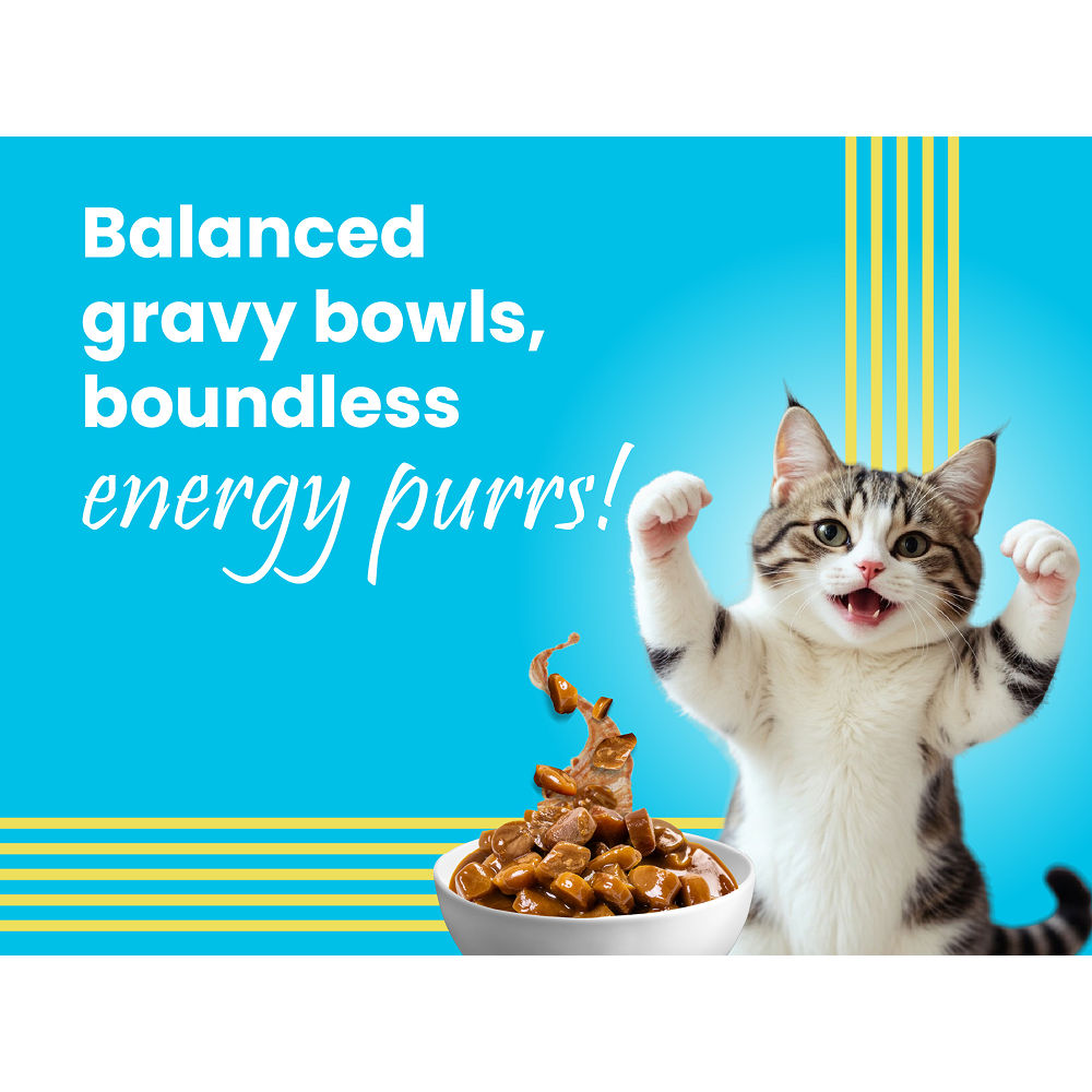 Bark Out Loud Mackerel & Duck Chunks Gravy Adult Cat Wet Food — in use