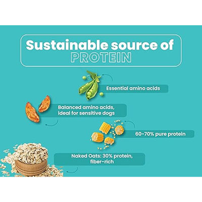 Bark Out Loud Naked Oats & Veggies, Veg Adult Dog Dry Food — in use
