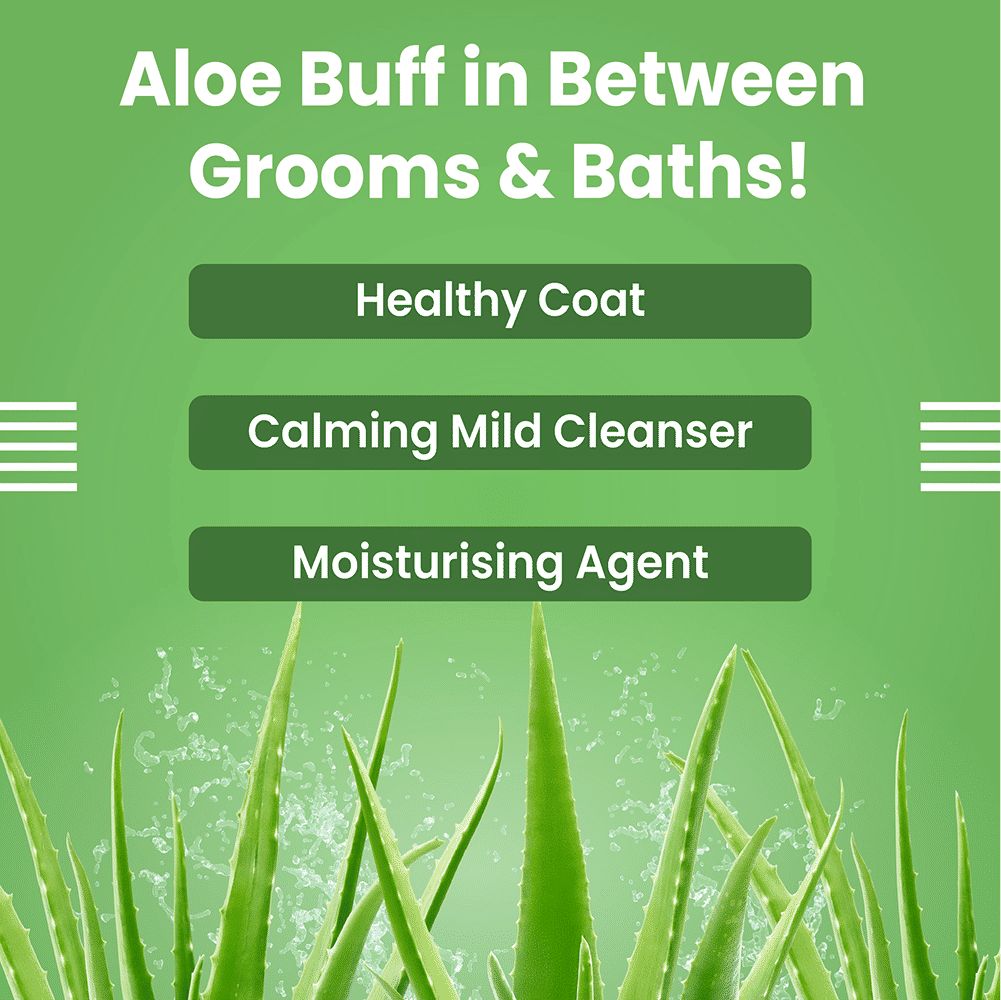 Bark Out Loud No Mess Waterless Dry Shampoo for Dogs — in use