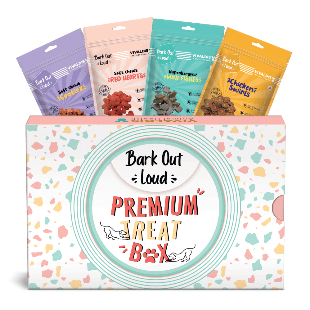 Bark Out Loud Premium Treat Box Chicken And Fish Dog Treat