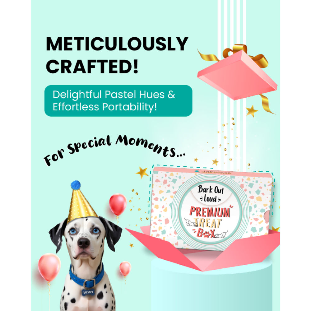 Bark Out Loud Premium Treat Box Chicken and Fish Dog Treat — back view