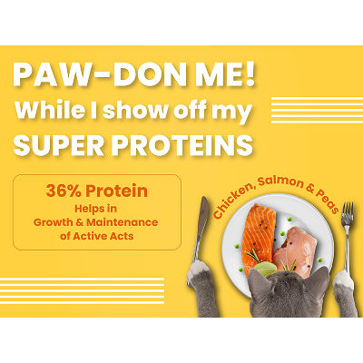 Bark Out Loud Salmon and Chicken Adult Cat Dry Food — back view