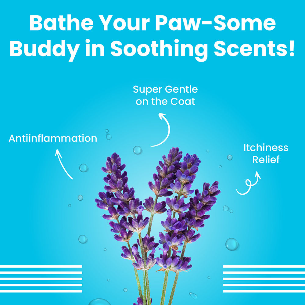 Bark Out Loud Silky Smooth Shampoo & Conditioner for Dogs — detail shot