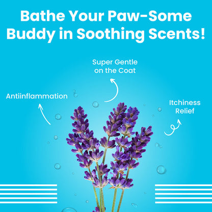 Bark Out Loud Silky Smooth Shampoo & Conditioner for Dogs — detail shot