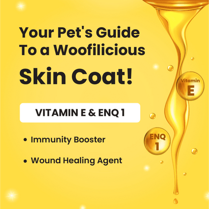 Bark Out Loud Skin & Coat Sardine Oil for Dogs and Cats — detail shot
