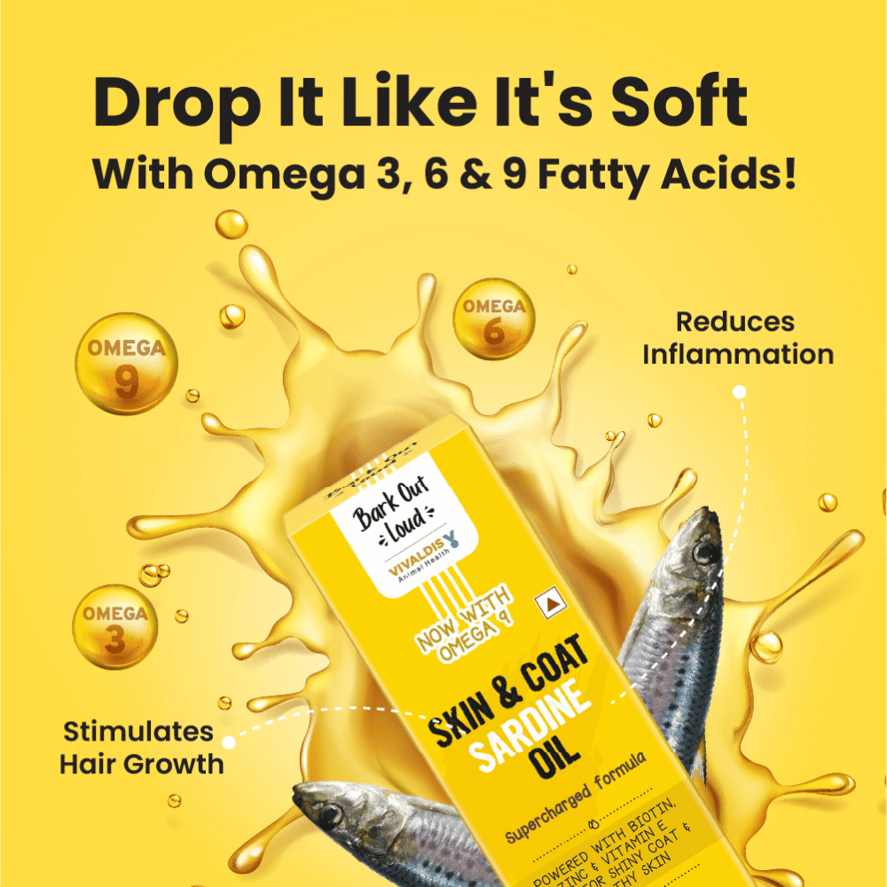 Bark Out Loud Skin & Coat Sardine Oil for Dogs and Cats — in use