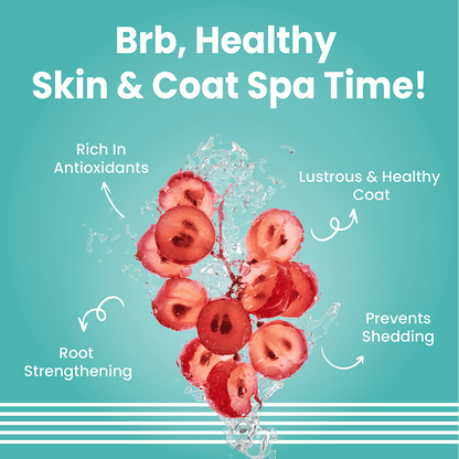 Bark Out Loud Tangle Free Serum for Dogs — detail shot