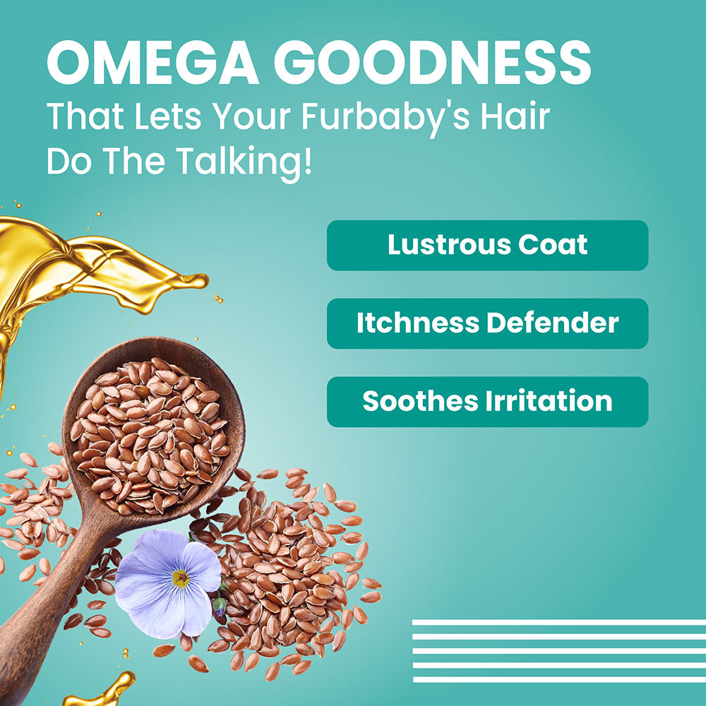 Bark Out Loud Tangle Free Serum for Dogs — in use