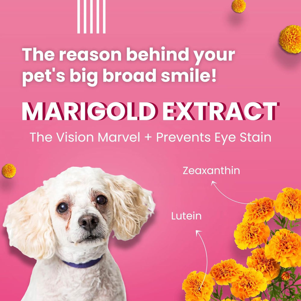 Bark Out Loud Tear Stains Eyebright Chew Stix Dog Treats — side view