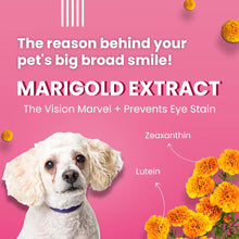 Bark Out Loud Tear Stains Eyebright Chew Stix Dog Treats - Image 2