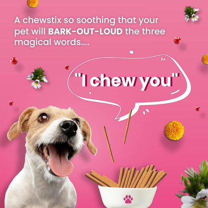 Bark Out Loud Tear Stains Eyebright Chew Stix Dog Treats — in use