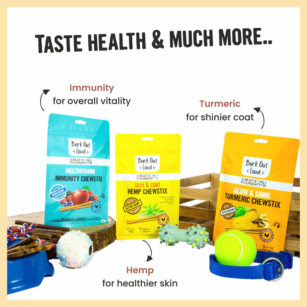 Bark Out Loud Treat Box for Dogs and Cats — back view