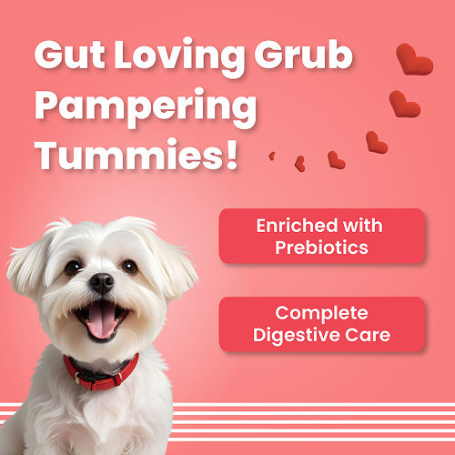 Bark Out Loud Valentine's Special Red Heart Dog Treat — back view