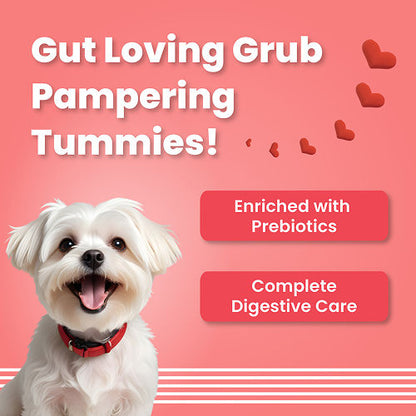 Bark Out Loud Valentine's Special Red Heart Dog Treat — back view