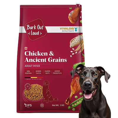 Bark Out Loud Chicken & Ancient Grains Adult Dog Dry Food — image 6