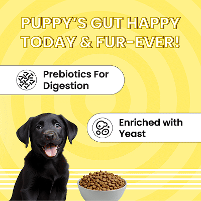 Bark Out Loud Essentials Real Chicken All Breed Puppy Dog Dry Food — in use