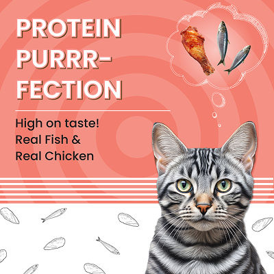 Bark Out Loud Essentials Real Fish Adult Cat Dry Food Bgb - Image 2