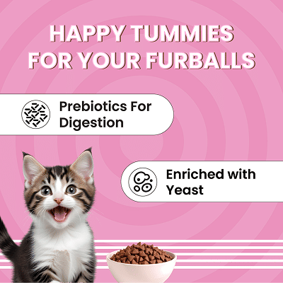 Bark Out Loud Essentials Real Fish Kitten Dry Food Bgb - Image 5