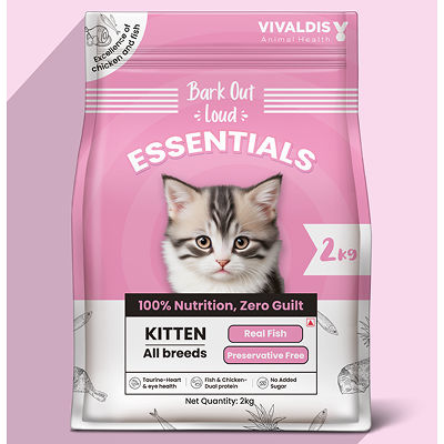 Bark Out Loud Essentials Real Fish Kitten Dry Food — image 6
