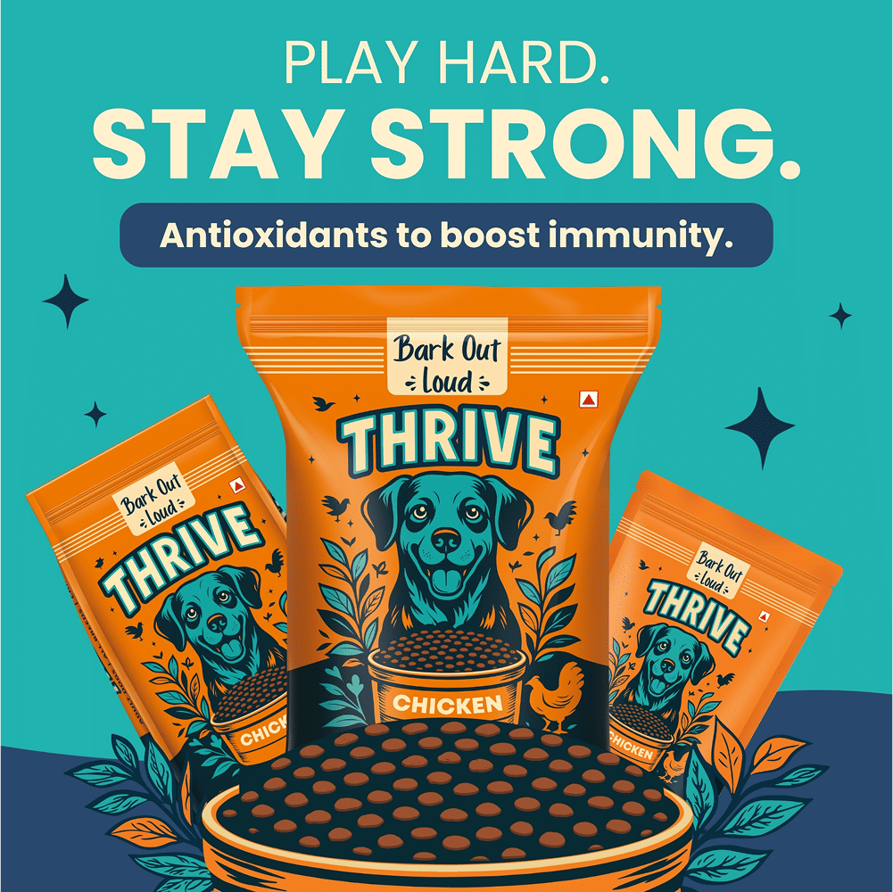 Bark Out Loud Thrive Chicken Flavour Adult Dog Dry Food — back view