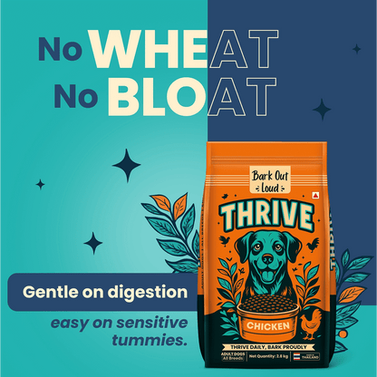 Bark Out Loud Thrive Chicken Flavour Adult Dog Dry Food — detail shot