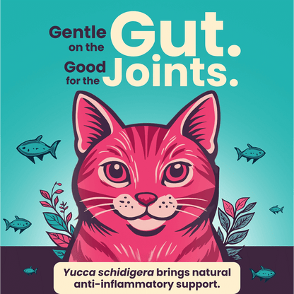 Bark Out Loud Thrive Tuna Flavour Adult Cat Dry Food - Image 5