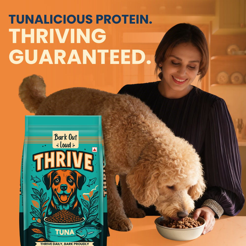 Bark Out Loud Thrive Tuna Flavour Adult Dog Dry Food — side view