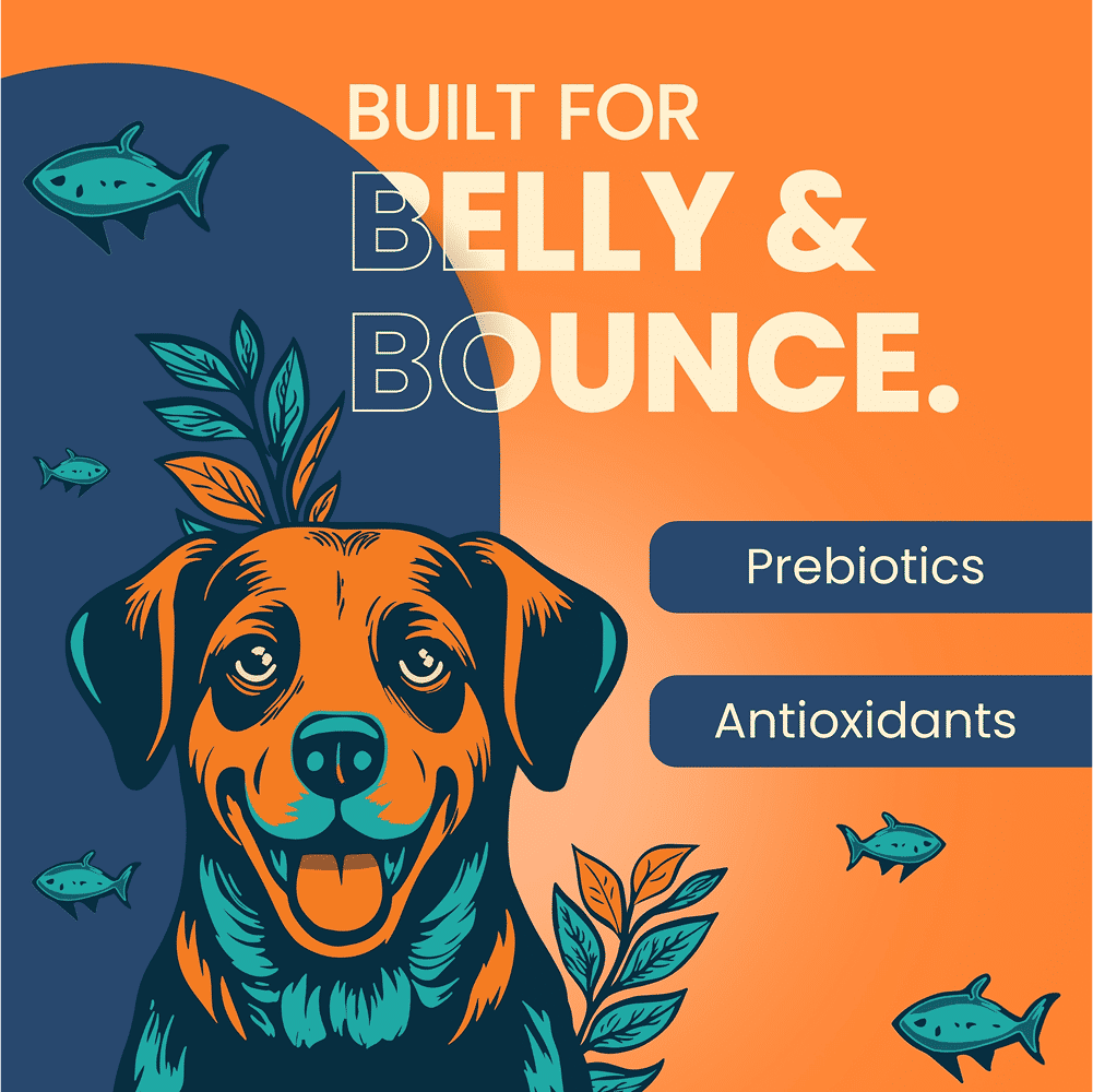 Bark Out Loud Thrive Tuna Flavour Adult Dog Dry Food — detail shot