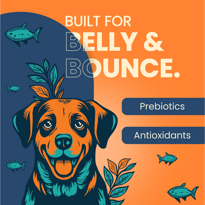 Bark Out Loud Thrive Tuna Flavour Adult Dog Dry Food — detail shot