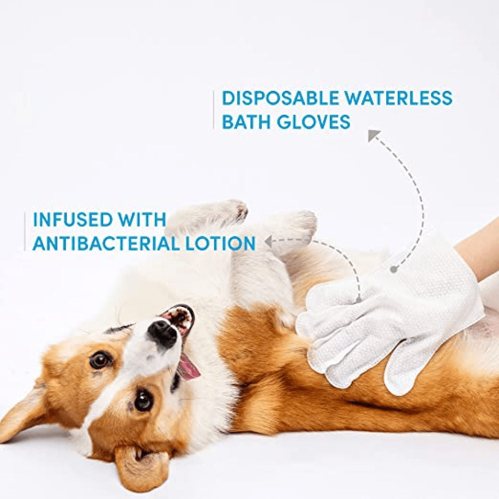Barkbutler x Fofos 8 Waterless Wash Gloves for Dogs and Cats — back view