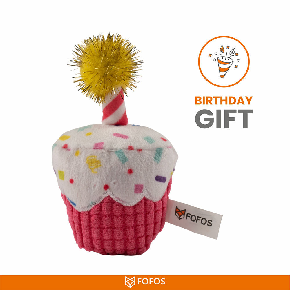 Barkbutler x Fofos Birthday Cake Catnip Toy for Cats — side view