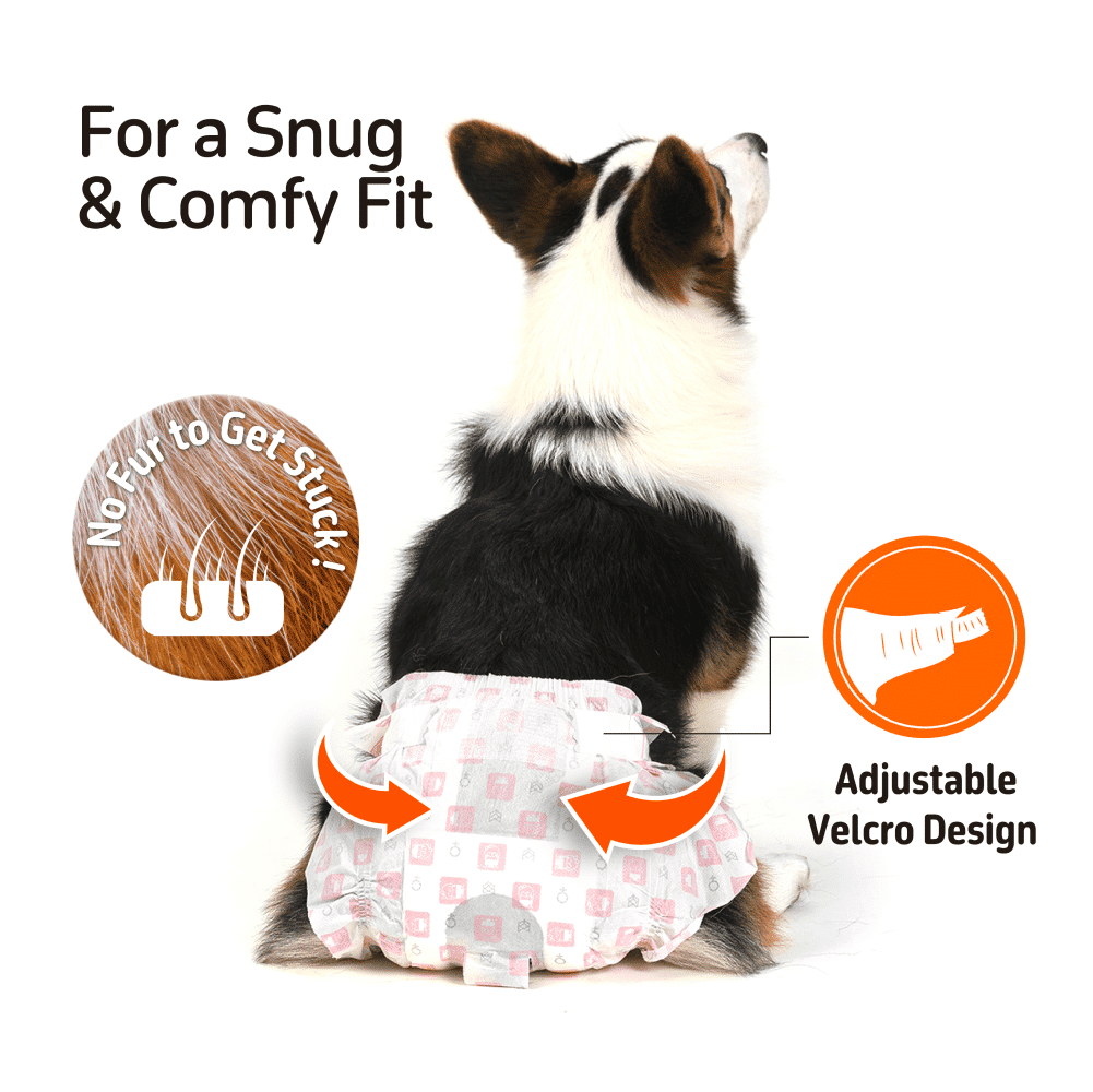 Barkbutler x Fofos Diaper for Female Dogs — detail shot