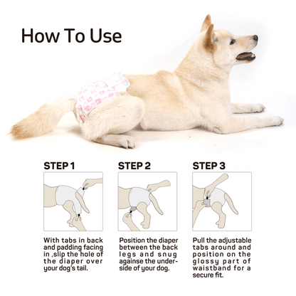 Barkbutler x Fofos Diaper for Female Dogs — back view
