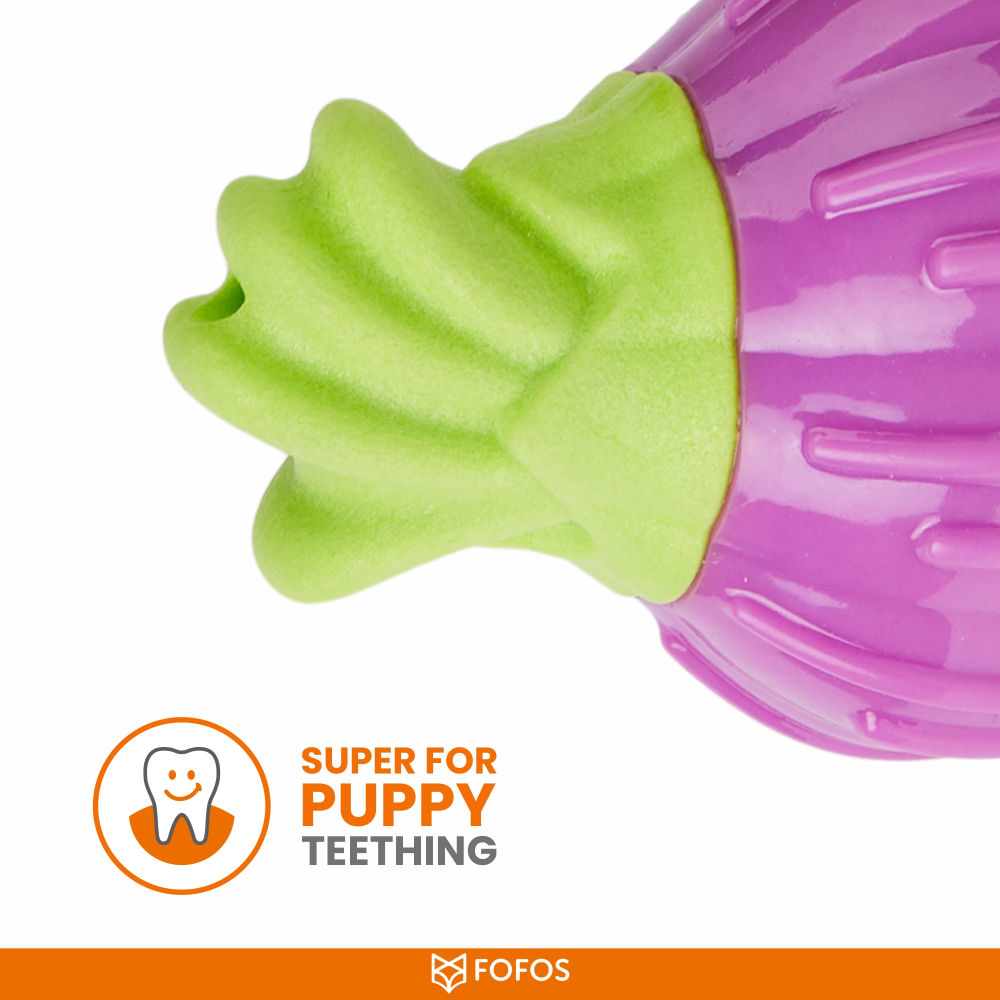 Barkbutler x Fofos Giggling Vegi Bites Onion Squeaky Chew Toy for Dogs — back view