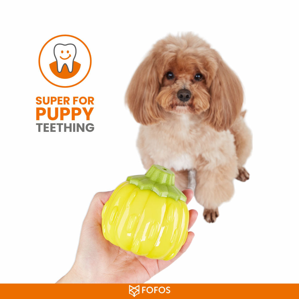Barkbutler x Fofos Giggling Vegi Bites Pumpkin Squeaky Chew Toy for Dogs — back view