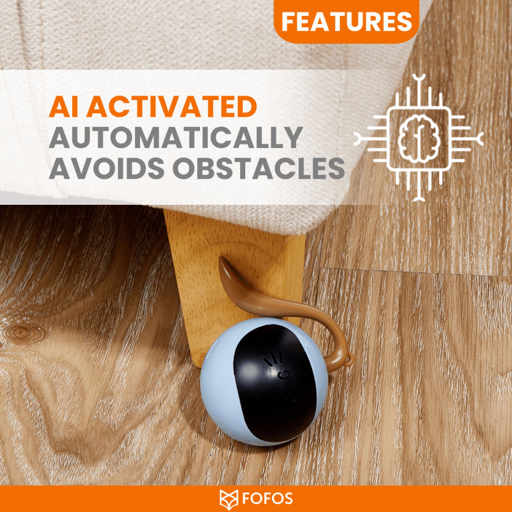 Barkbutler x Fofos Magic Ball Tumbler Smart Toy for Cats — in use