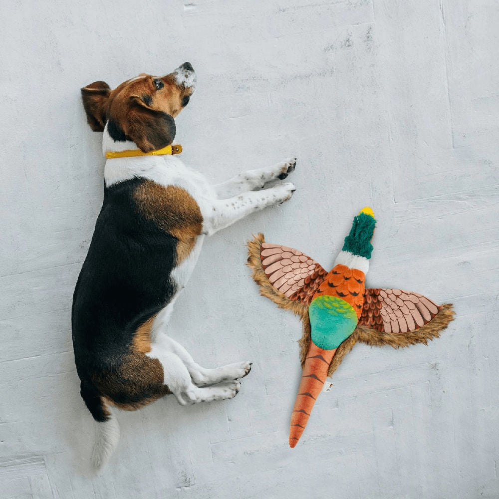 Barkbutler x Fofos Plush Pheasant Toy for Dogs | For Soft Chewers — in use