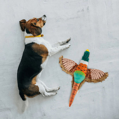 Barkbutler x Fofos Plush Pheasant Toy for Dogs | For Soft Chewers — in use