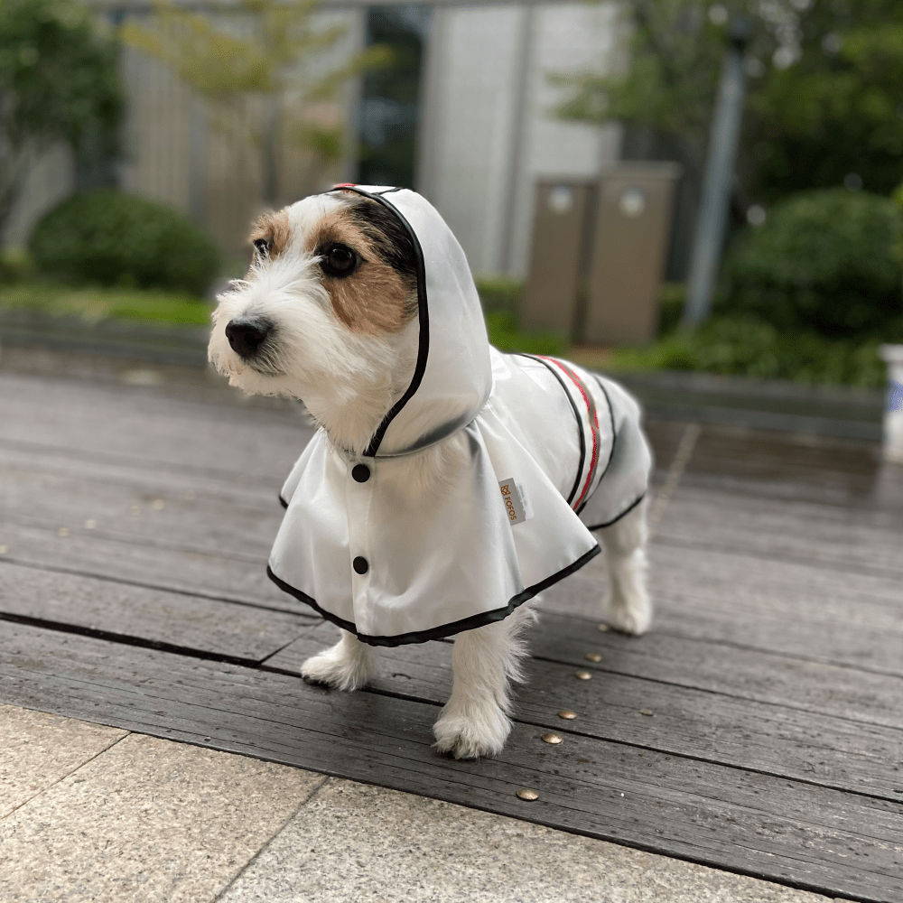 Fofos Reflective Raincoat For Dogs - Image 5