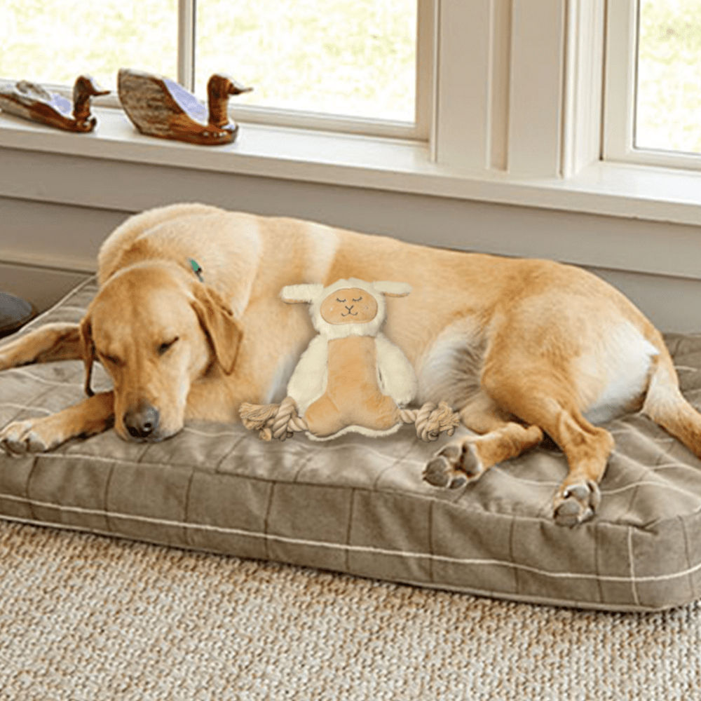 Barkbutler x Fofos Ropeleg Plush Sheep Toy for Dogs | For Medium Chewers — detail shot
