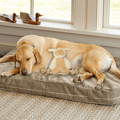 Barkbutler x Fofos Ropeleg Plush Sheep Toy for Dogs | For Medium Chewers — detail shot