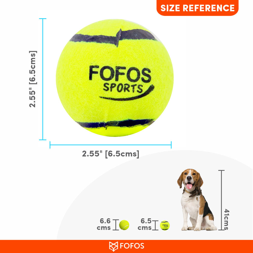 Barkbutler x Fofos Sports Fetch Ball for Dogs — in use