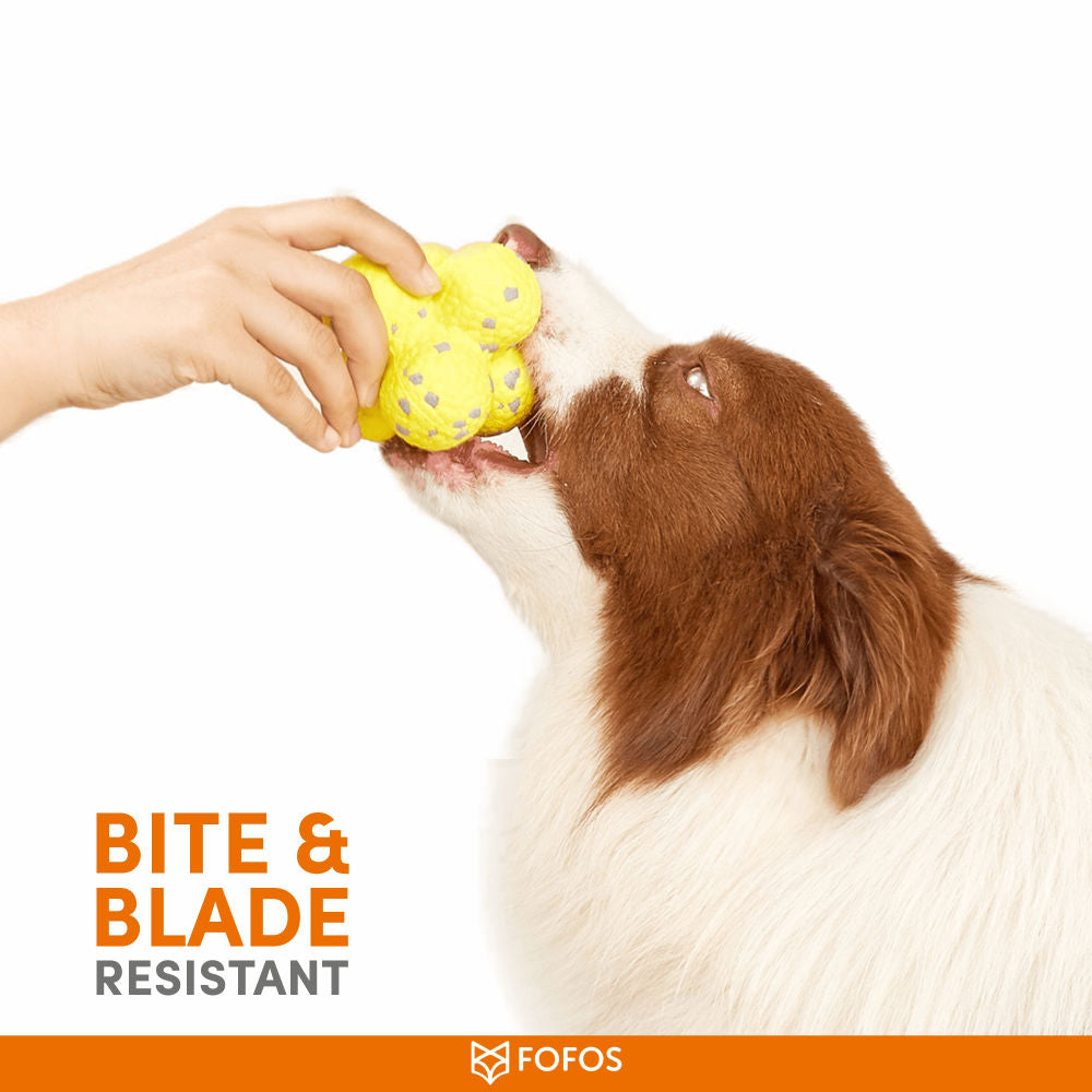 Barkbutler x Fofos Ultra Durable Ball Toy for Dogs — back view