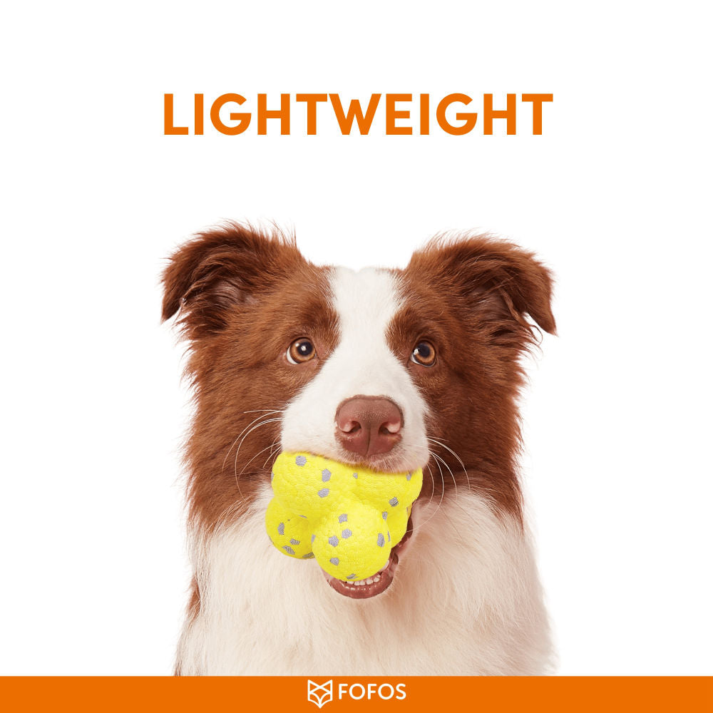 Barkbutler x Fofos Ultra Durable Ball Toy for Dogs — detail shot