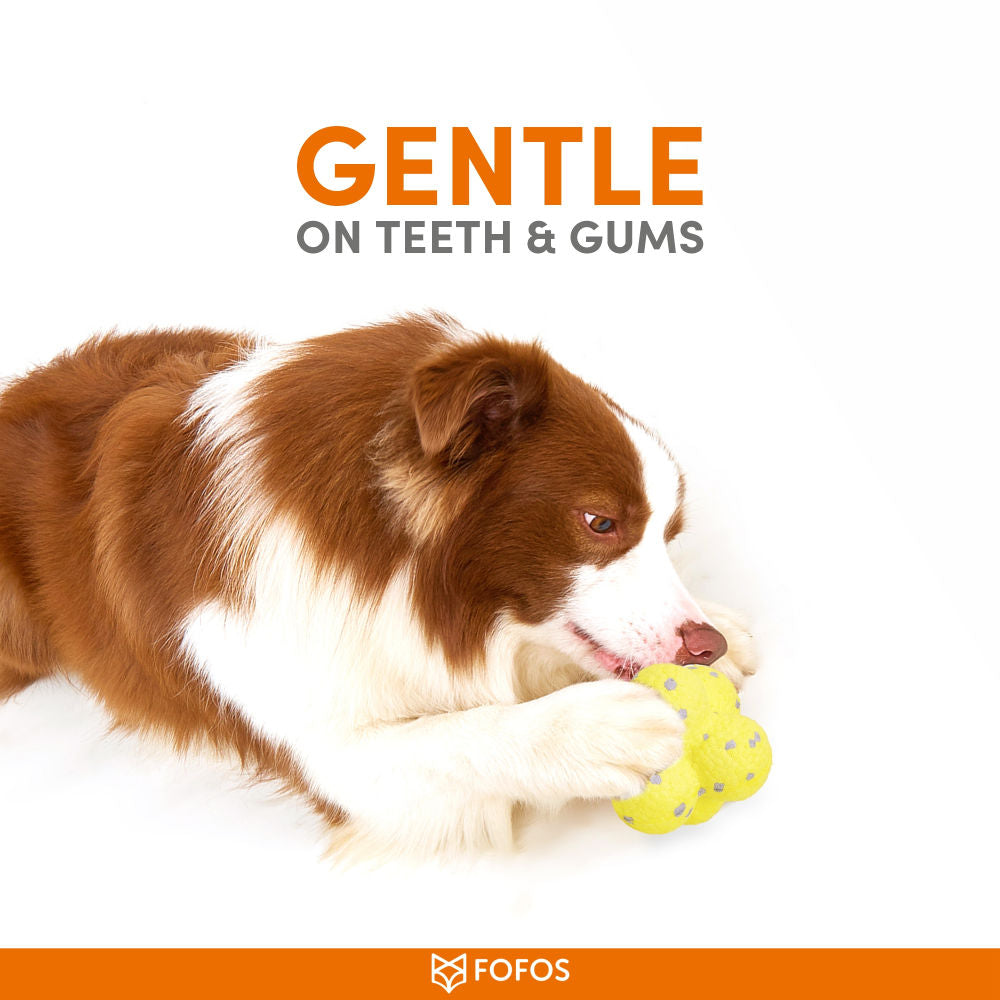 Barkbutler x Fofos Ultra Durable Ball Toy for Dogs — in use