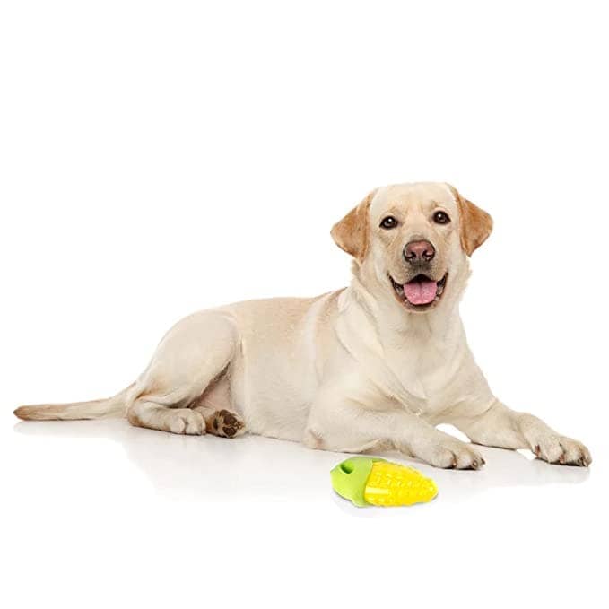 Barkbutler x Fofos Vegi Bites Corn Squeaky Toy for Dogs — in use