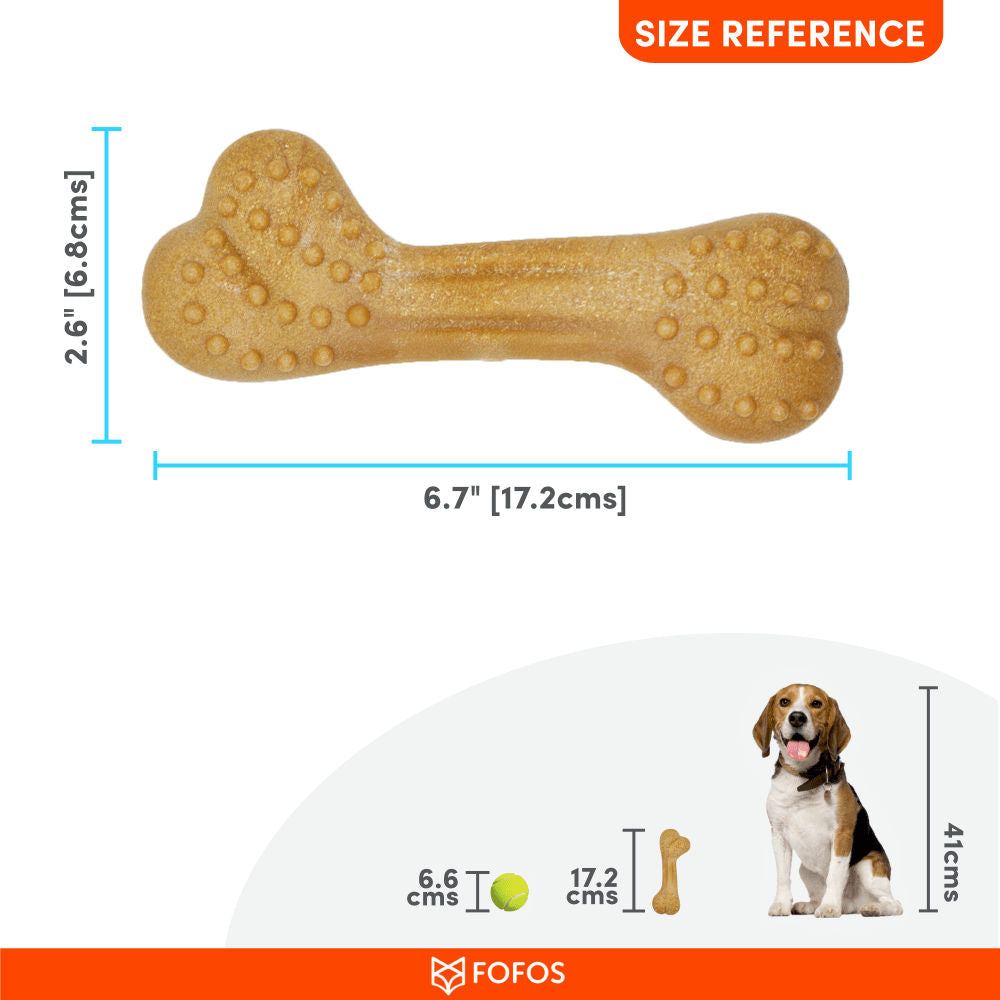 Barkbutler x Fofos Woodplay Brush Bone Toy for Dogs | For Chewers — back view
